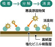 イメージ 6