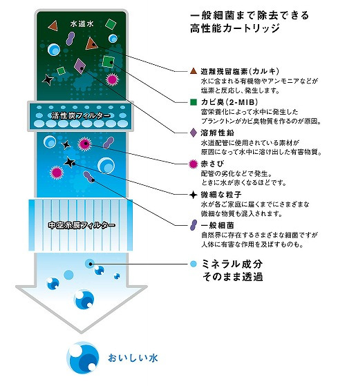 イメージ 6