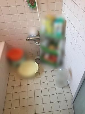 イメージ 4