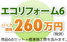 エコリフォーム6 パック価格273万円