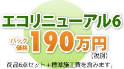 エコリニューアル6 パック価格199万円